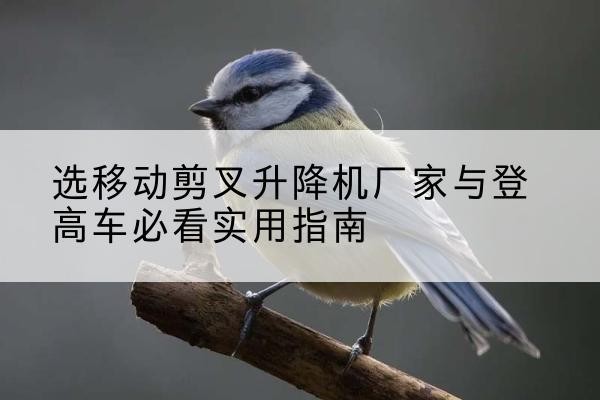 赤壁电动升降机厂家-选移动剪叉升降机厂家与登高车必看实用指南