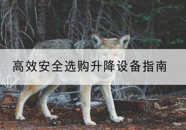 赤壁升降货梯厂家推荐-*安全选购升降设备指南