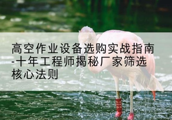 赤壁剪叉式升降机厂家-高空作业设备选购实战指南-十年工程师揭秘厂家筛选核心法则